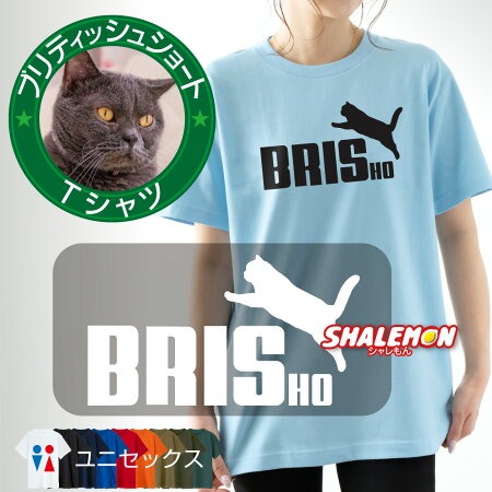 ネコ Tシャツ ( ブリショ ジャンプ 選べるカラー ) ブリティッシュショートヘア  にゃんこ 猫 ブリティッシュブルー チェシャ猫 サバトラ 茶トラ はちわれ 黒猫 白猫 錆 子猫 キャット かわいい 半袖 コットン ドライ メンズ レディース キッズ 大きいサイズ(O7)