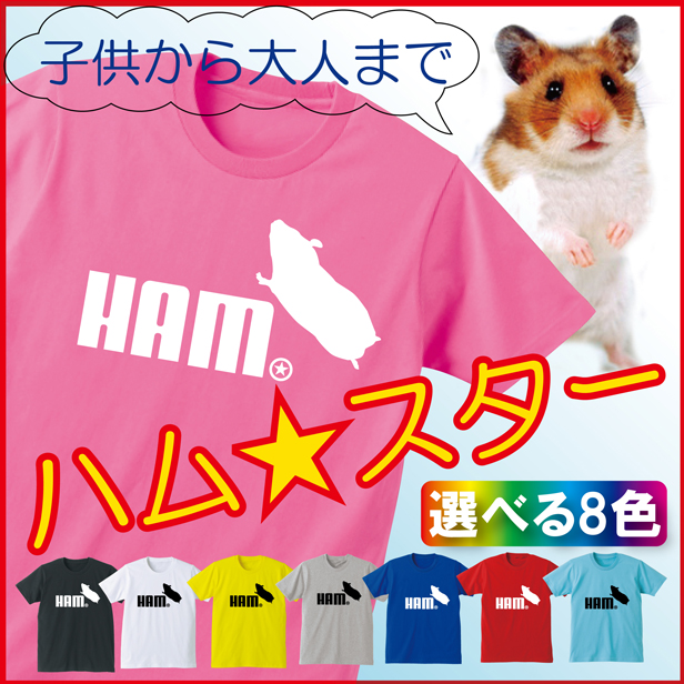 ハムスター ｔシャツ おもしろ 選べる８色 ３デザイン メンズ レディース キッズ プレゼント マツコの知らない世界 ゲージ ハウス えさ トイレ床材 Ham ハムケツ