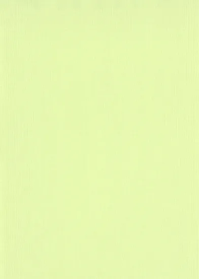 フリース壁紙【10166-07】