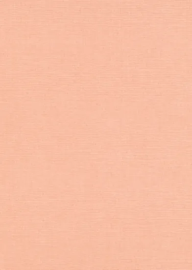 フリース壁紙【10262-23】