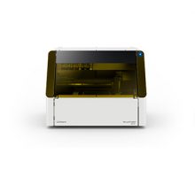 bd8_01
