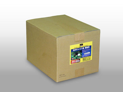 【染料】光沢キャスト紙　A4判(210mmX297mm)　(1000枚入り)