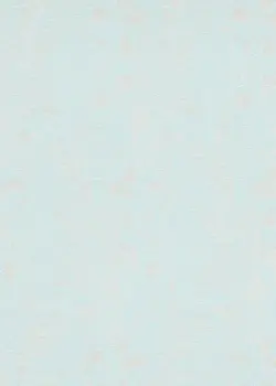 フリース壁紙【10251-18】