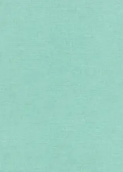 フリース壁紙【10262-18】