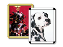 ポスターグリップ 屋内用　PG-32R　フレーム幅32mm B1(728X1030)