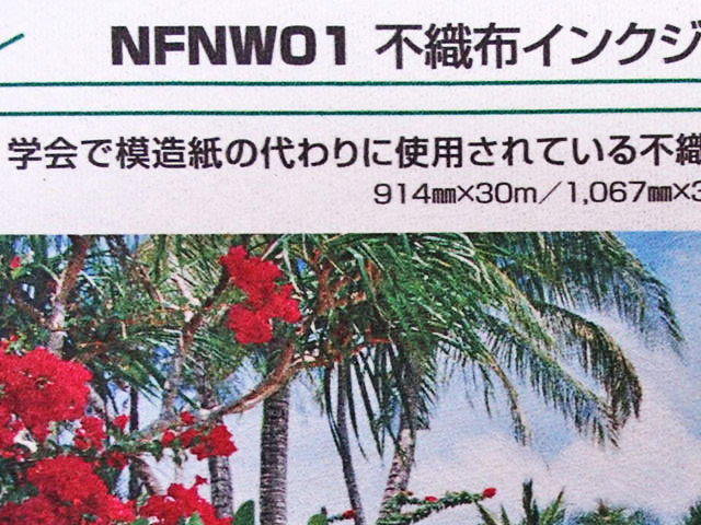 NFNW01 不織布インクジェットロール紙 インクジェット EPSON HP