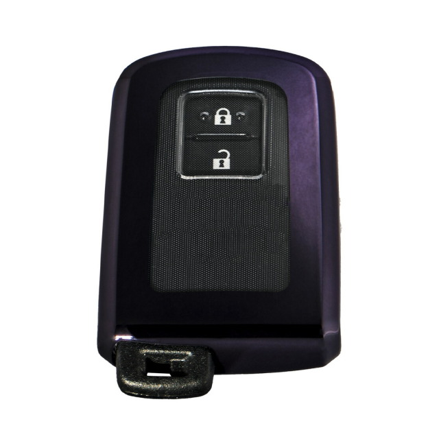 カラーパープルブラック