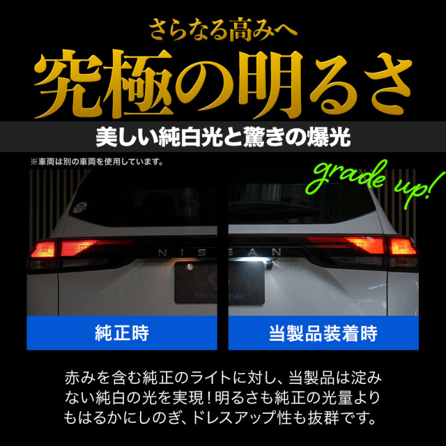 デリカ D5 クリーンディーゼル車 専用 ライセンスランプ LED