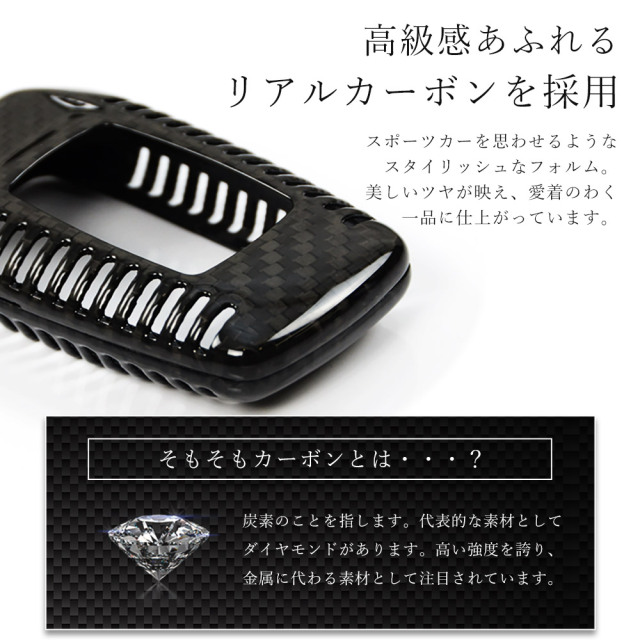ルノー　リアライセンスフード用カバー　リアルカーボン S503a4d13397d43d6bc380d0ede059