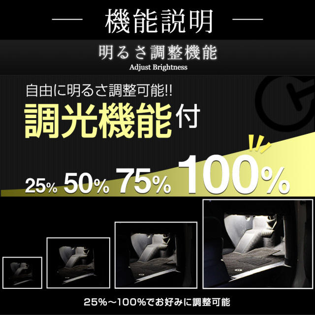 ランドクルーザー 300系 専用 RGB フットランプ