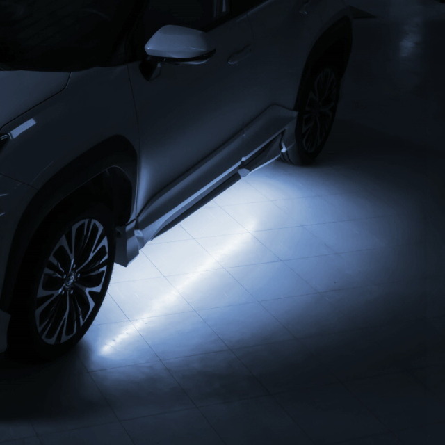 カラーホワイト