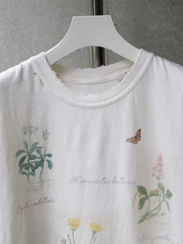 アンセルムANCELLM24ssボタニカルティシャツ ANCELLM（アンセルム） 2024SS 24SS BOTANICAL T-SHIRT Pepper