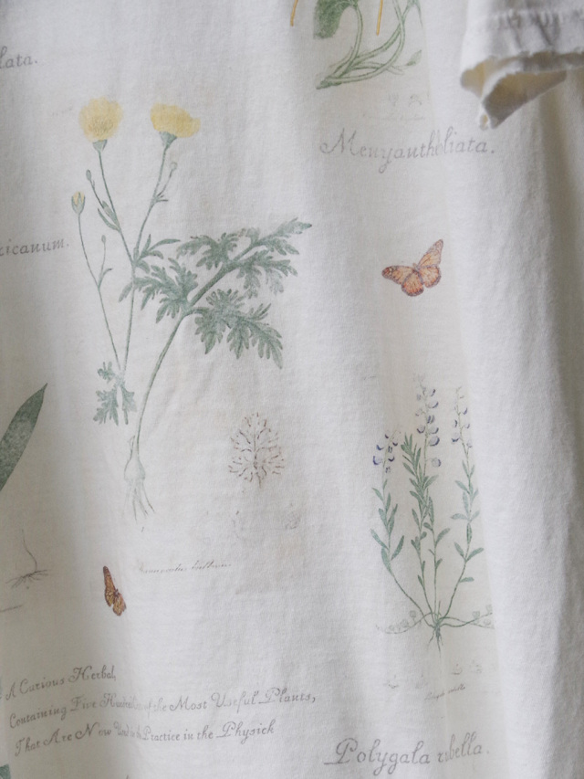 2024SS】 ANCELLM (アンセルム) 