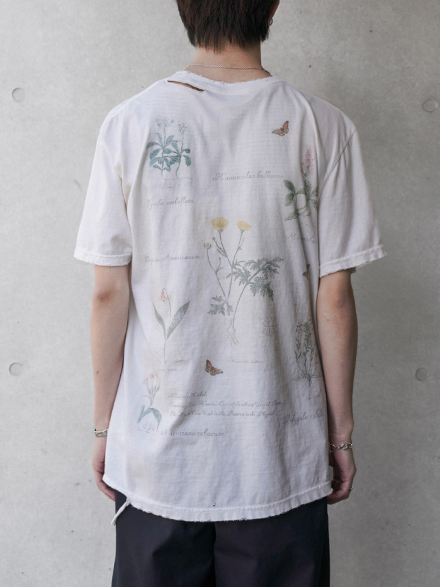 ANCELLM アンセルム BOTANICAL T-SHIRT サイズ1 ANCELLM アンセルム BOTANICAL T-SHIRT サイズ1
