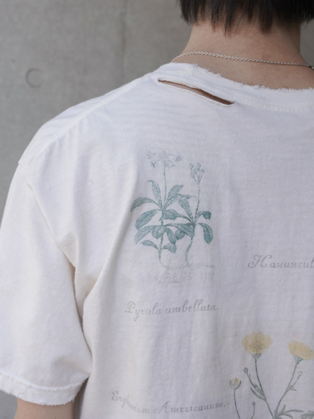 ANCELLM アンセルム BOTANICAL T-SHIRT サイズ1 ANCELLM - BOTANICAL T-SHIRT/WHITE | NapsNote