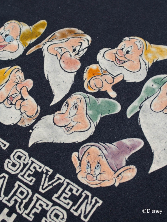 BOWWOW × disney snow white sweat shirts（Disney Snow White
