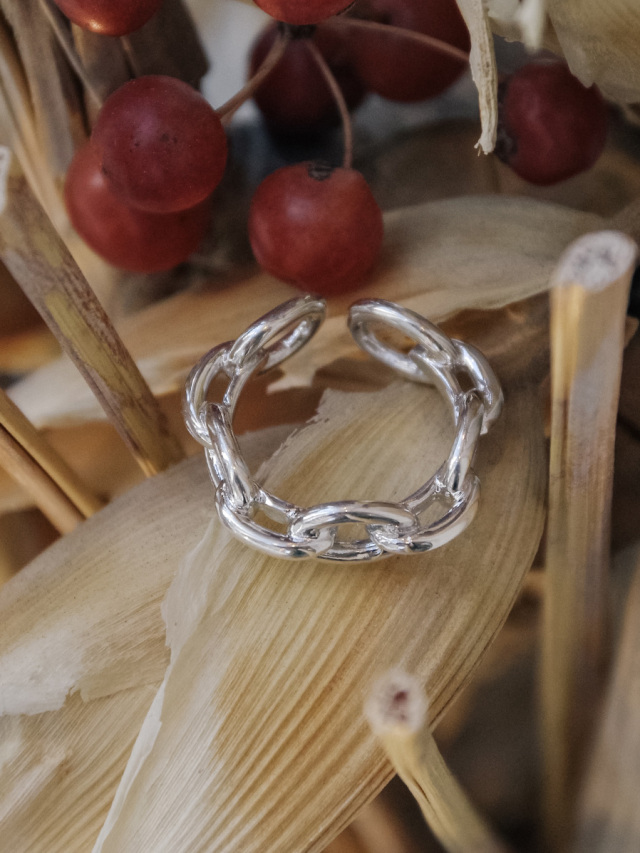 【Garden of Eden】Oval Link Ring 15号 Garden of Eden】Oval Link Ring 15号