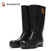 プロフェッショナル