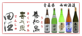 nishida_smp