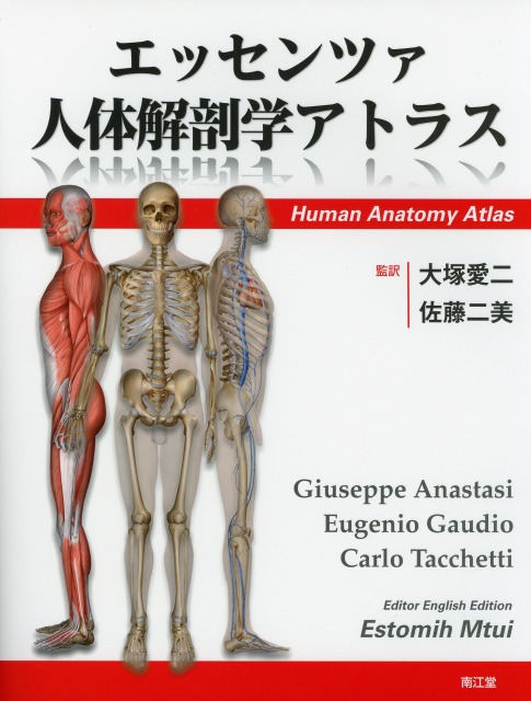 エッセンツァ人体解剖学アトラス