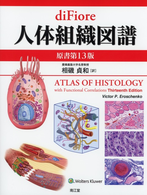diFiore　人体組織図譜　原書第13版