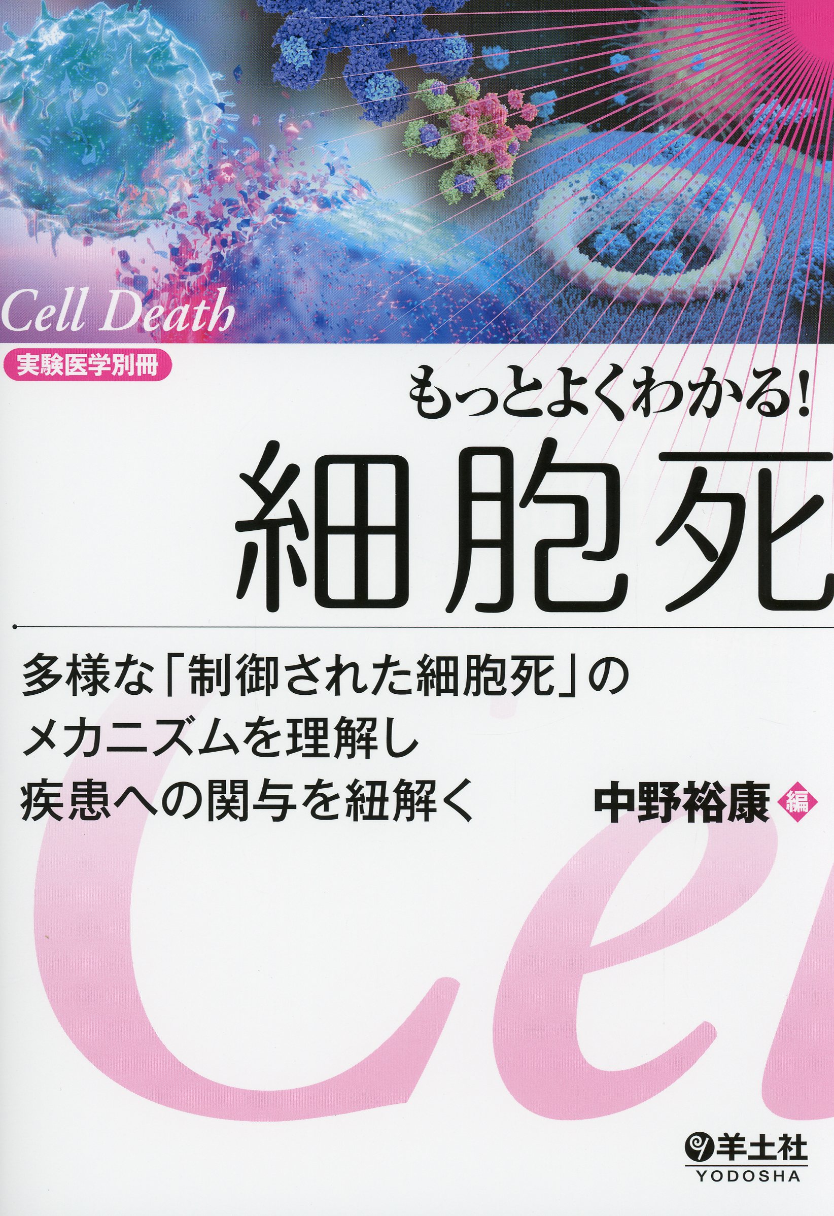 実験医学別冊　もっとよくわかる！シリーズ もっとよくわかる！細胞死