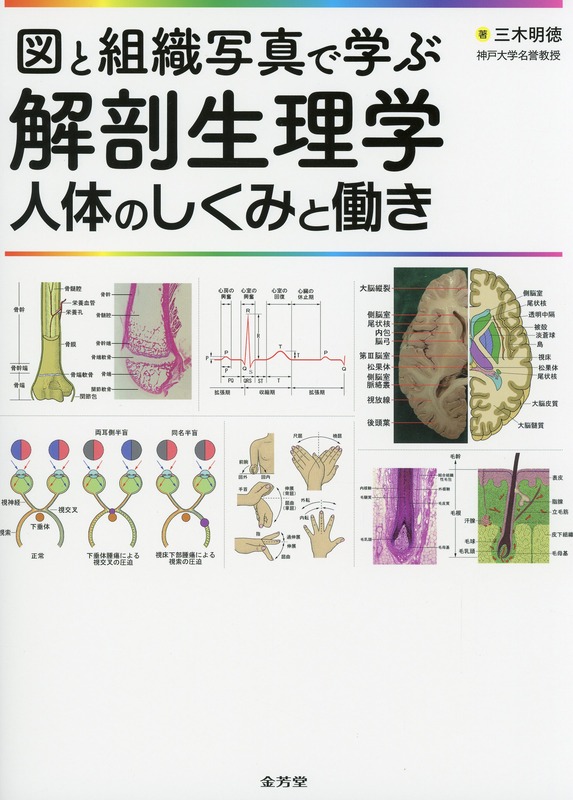 図と組織写真で学ぶ解剖生理学　人体のしくみと働き