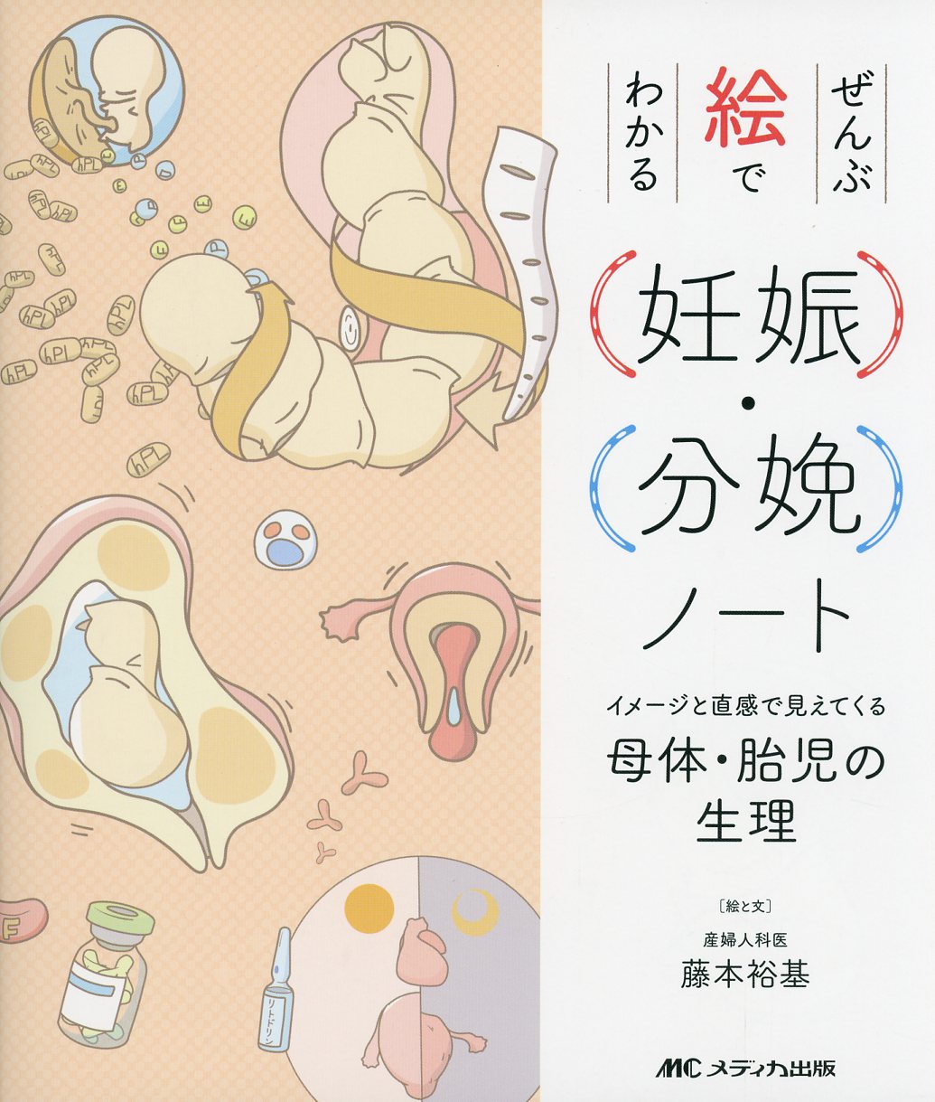 ぜんぶ絵でわかる妊娠・分娩ノート