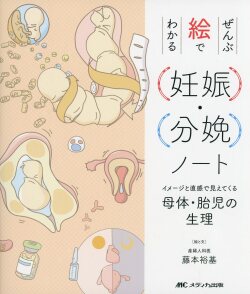 ぜんぶ絵でわかる妊娠・分娩ノート