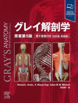 【最新版】 【電子版コード未使用】グレイ解剖学 原著 第4版 秋田恵一 訳 最新版】 【電子版コード未使用】グレイ解剖学 原著 第4版 秋田恵一