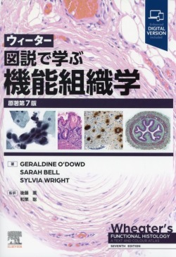ウィーター　図説で学ぶ機能組織学　原著第7版