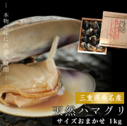 桑名産はまぐり1kg　21修正