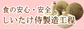しいたけ侍の製造過程
