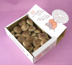 しいたけ侍　バラ箱　30枚入