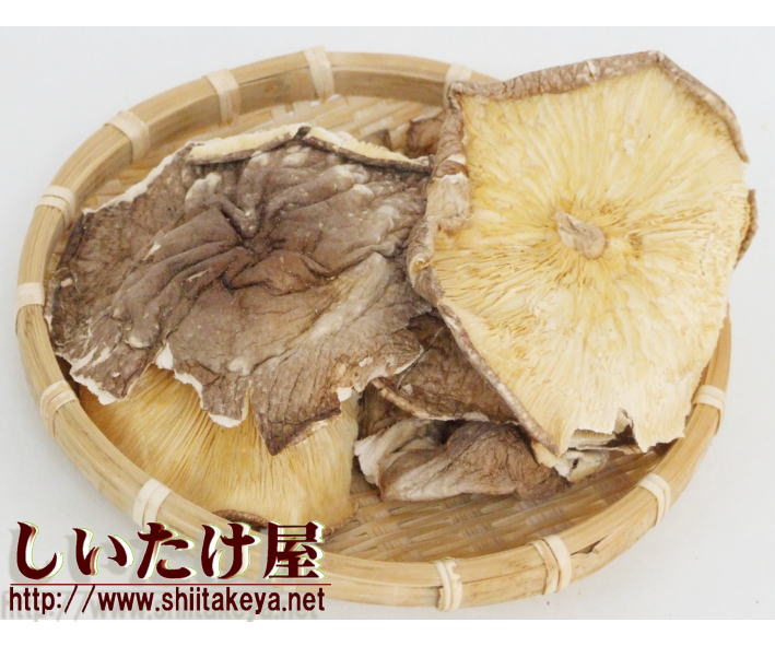 菌床原木しいたけ足切ＬＨ