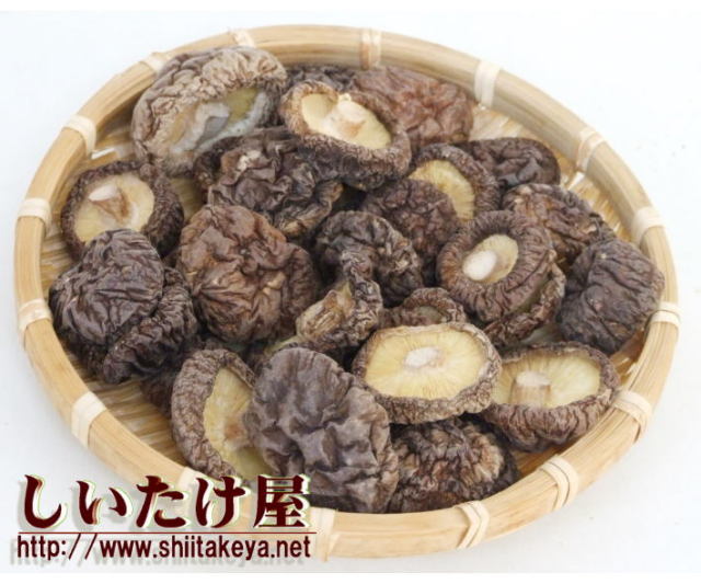 菌床しいたけC2