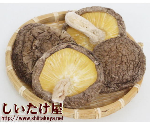 椎茸屋 菌床原木（きんしょうげんぼく） 干し椎茸専門店 しいたけ屋