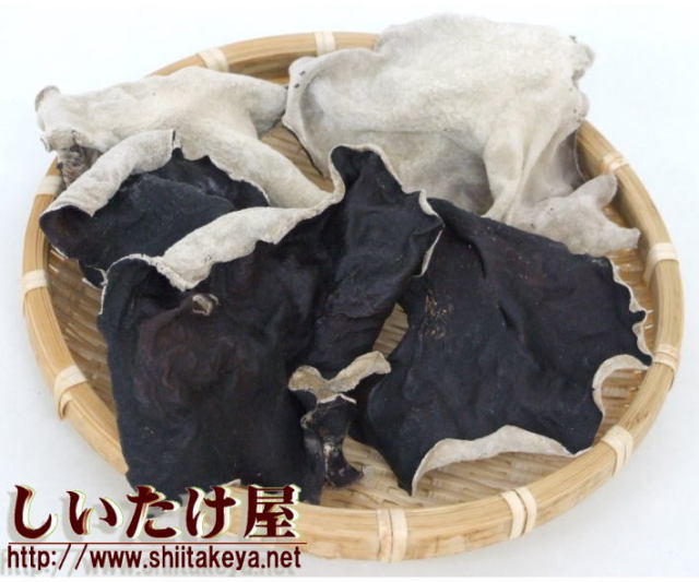 ☆新商品☆きくらげパウダー&チップについて | 一般財団法人日本