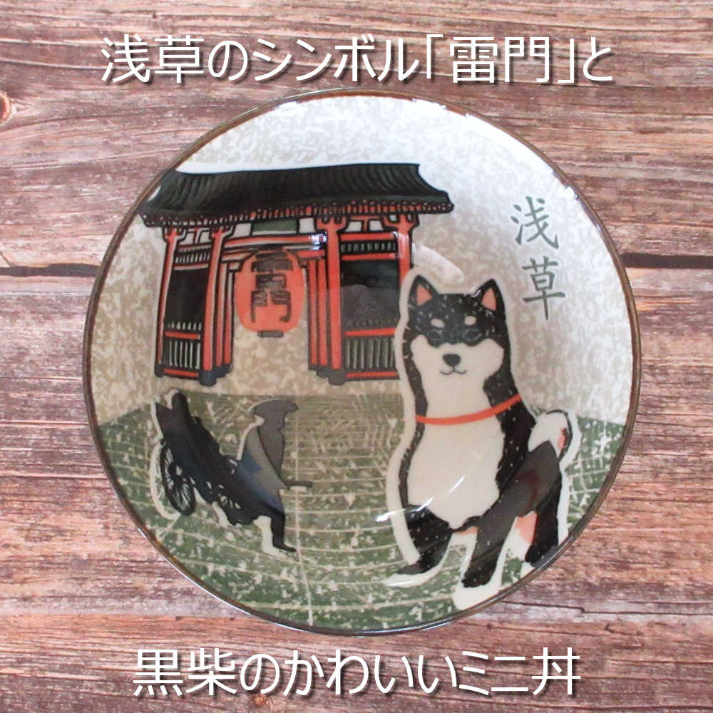 丼 14cm 柴犬 真上