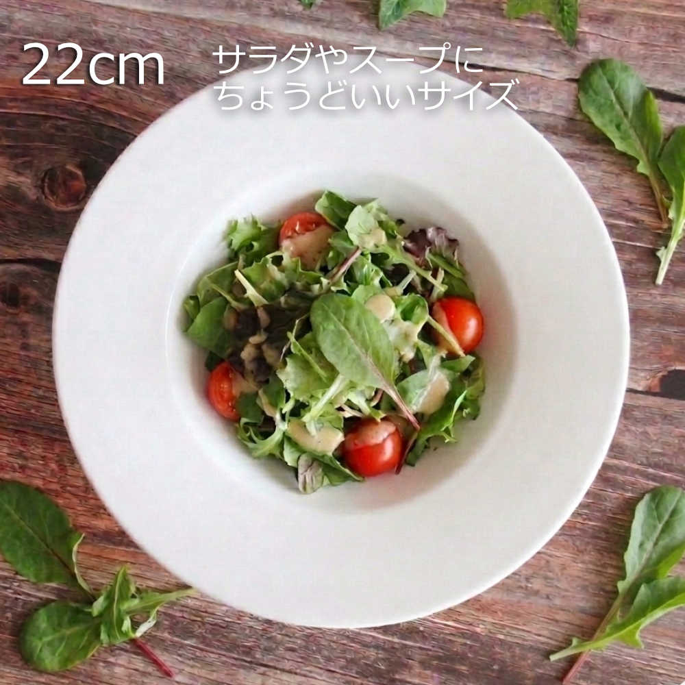 皿 パスタ皿 スープ皿 22cm 白 くぼみ おしゃれ 白い食器 洋食器 四季彩陶器 美濃焼 業務用 ジャルディン ディープスープボウル 18000025