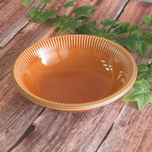 スープ皿 パスタ皿 深皿 24cm 四季彩陶器 美濃焼 業務用 食器 サザンバレー オータムイエロー 11416015