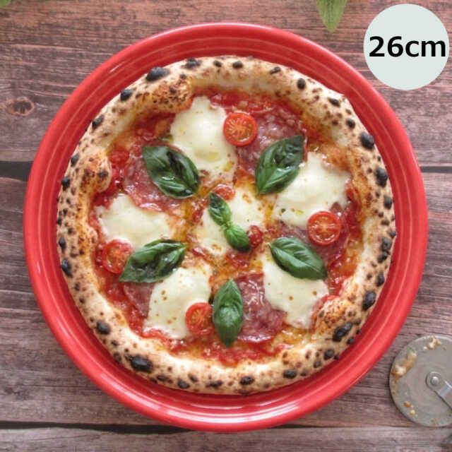 パスタ皿 カレー皿 おしゃれ 26cm ディナープレート 四季彩陶器 美濃焼 業務用 オービット ローズレッド 12640002