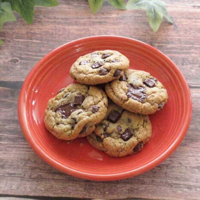 ケーキ皿 おしゃれ 陶器 17cm デザートプレート パン皿 洋食器 四季彩陶器 美濃焼 業務用 オービット ローズレッド 12640007