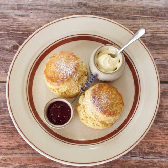 取り皿 おしゃれ 16cm 陶器 パン皿 四季彩陶器 美濃焼 業務用 カントリーサイド ダークブラウン 13426008