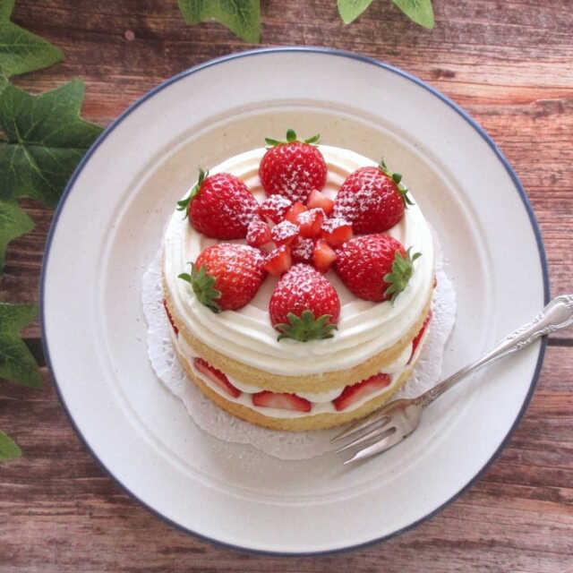 ケーキ皿 デザート皿 おしゃれ 20cm 四季彩陶器 美濃焼 業務用 カントリーサイド ノーザンレイク 13438006