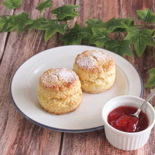 パン皿 デザート皿 おしゃれ 16cm 四季彩陶器 美濃焼 業務用 カントリーサイド ノーザンレイク 13438008