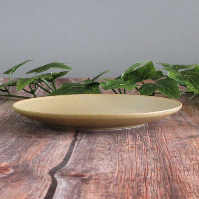 パスタ皿 おしゃれ シンプル 黄 24cm 四季彩陶器 美濃焼 業務用 フィノ