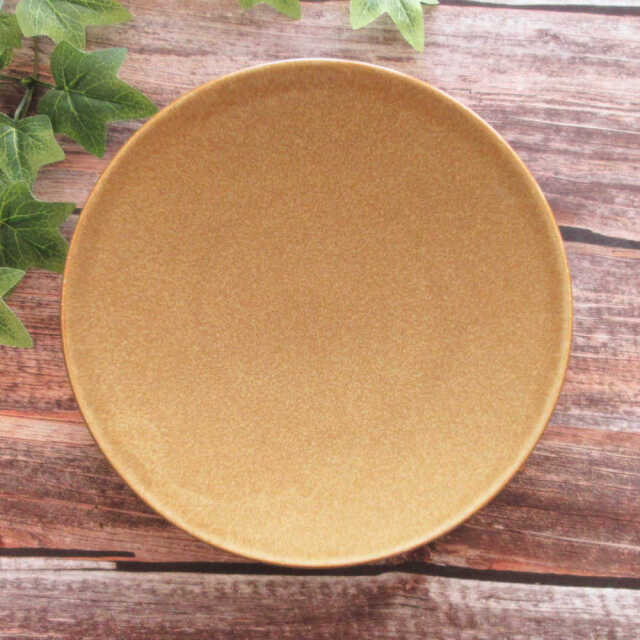 パスタ皿 カレー皿 27cm 和食器 モダン おしゃれ 丸皿 陶器 四季彩陶器 美濃焼 業務用 アースアンバー 18160002