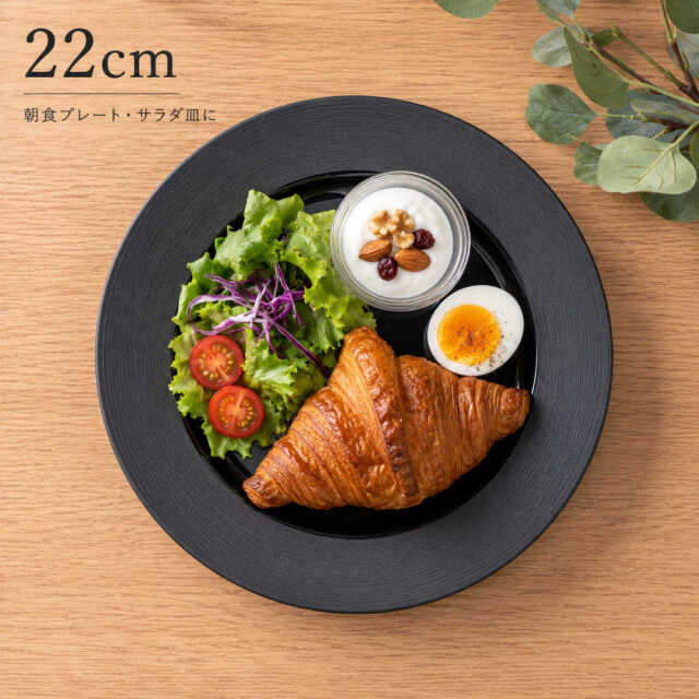パスタ皿 カレー皿 22cm おしゃれ リム 皿 黒い食器 四季彩陶器 美濃焼 業務用 ナイトストリーム 19630005