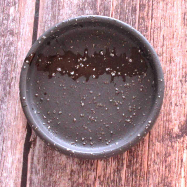 8cm 薬味皿 和食器 小皿 おしゃれ 和食器 陶器 四季彩陶器 美濃焼 業務用 彗星 3.0薬味皿 51033090